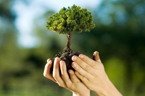 In recent decades, there has been a concerning rise in autism prevalence worldwide. While advancements in diagnosis and awareness contribute to this increase, researchers are also examining environmental factors that may play a role. From pollution to dietary patterns, various elements of our environment have been scrutinized for their potential impact on neurological development.