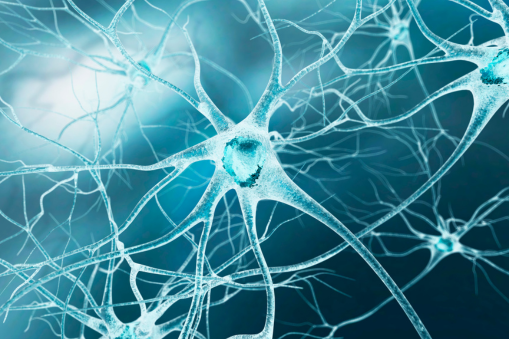 Autism Spectrum Disorder (ASD) encompasses a spectrum of conditions characterized by challenges with social skills, repetitive behaviours, and communication. Despite extensive research, the exact causes of autism remain elusive. However, evidence suggests a complex interplay of genetic, environmental, and developmental factors