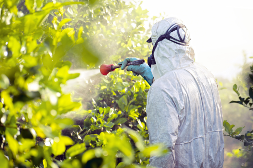 Different types of pesticides have been studied in relation to autism risk, including organophosphates, pyrethroids, and organochlorines. Organophosphate pesticides, in particular, have received attention due to their neurotoxic effects and potential to disrupt neurodevelopment.